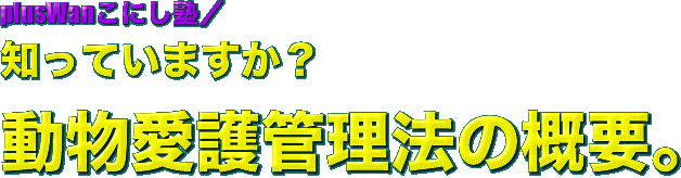 plusWanこにし塾／