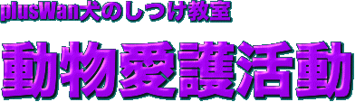 plusWan犬のしつけ教室