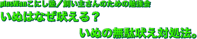 plusWanこにし塾／飼い主さんのための勉強会