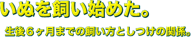 いぬを飼い始めた。
