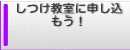 item4a1e3