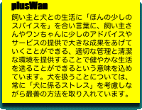 plusWan