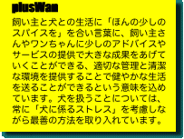 plusWan