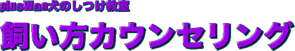 plusWan犬のしつけ教室