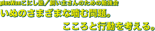 plusWanこにし塾／飼い主さんのための勉強会