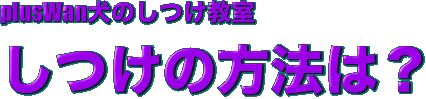 plusWan犬のしつけ教室
