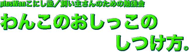 plusWanこにし塾／飼い主さんのための勉強会